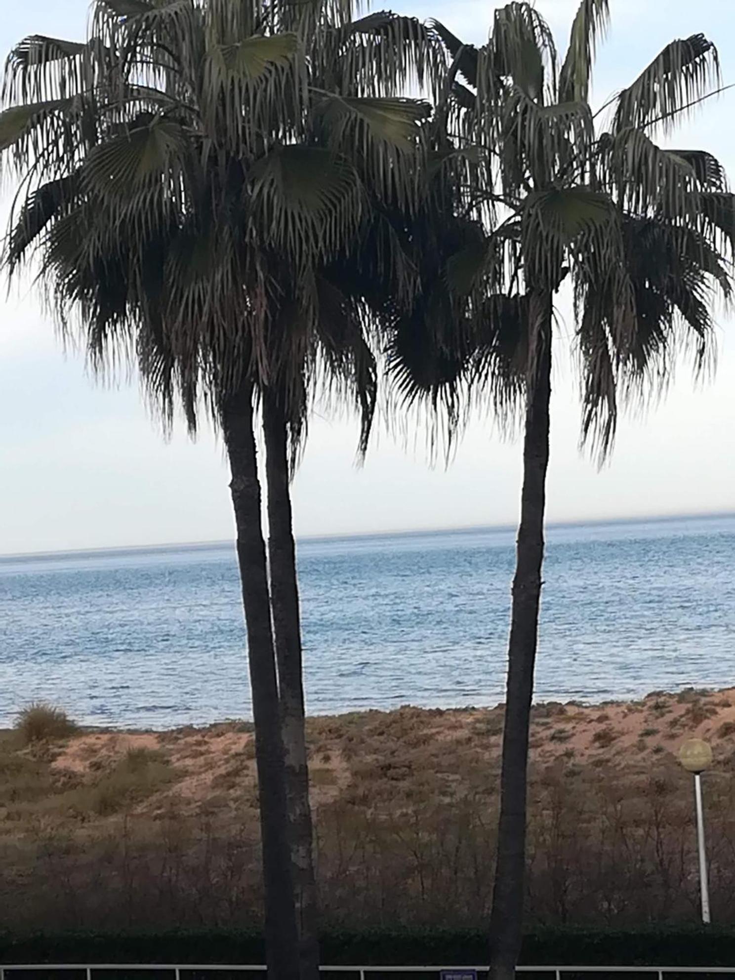 Apartament Gandia Daimuz Daimus Zewnętrze zdjęcie